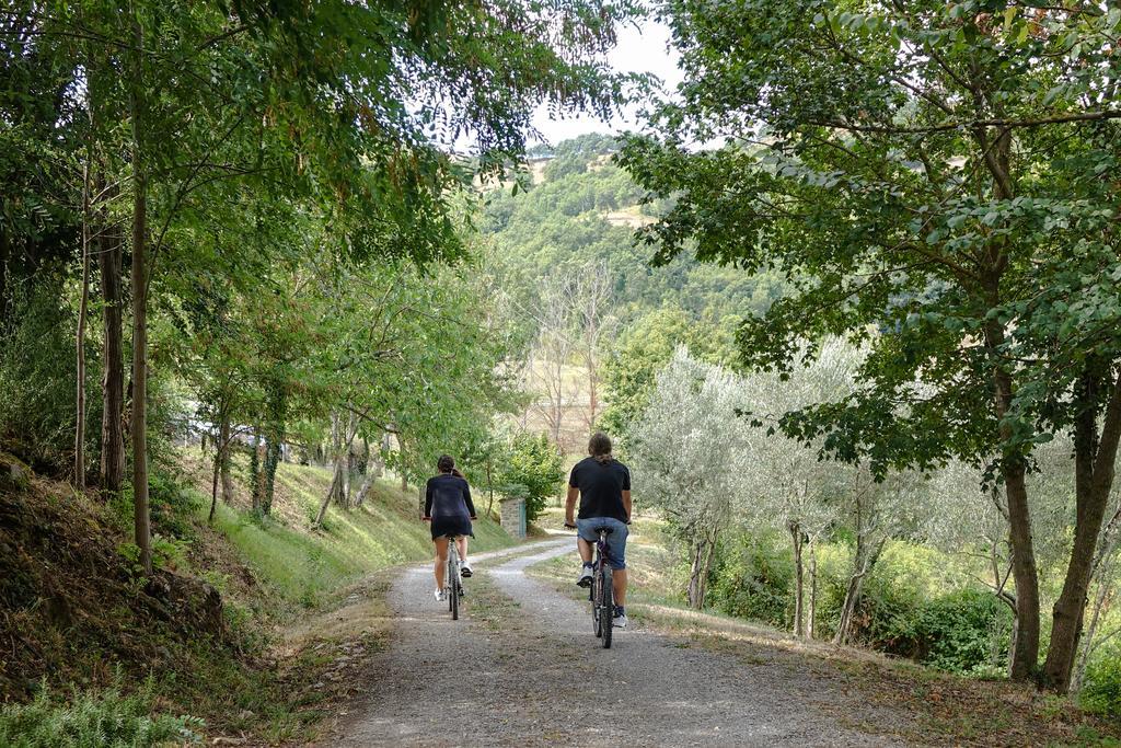 Agriturismo Montelovesco Brunetta Εξωτερικό φωτογραφία