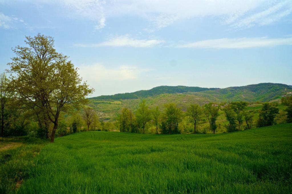 Agriturismo Montelovesco Brunetta Εξωτερικό φωτογραφία